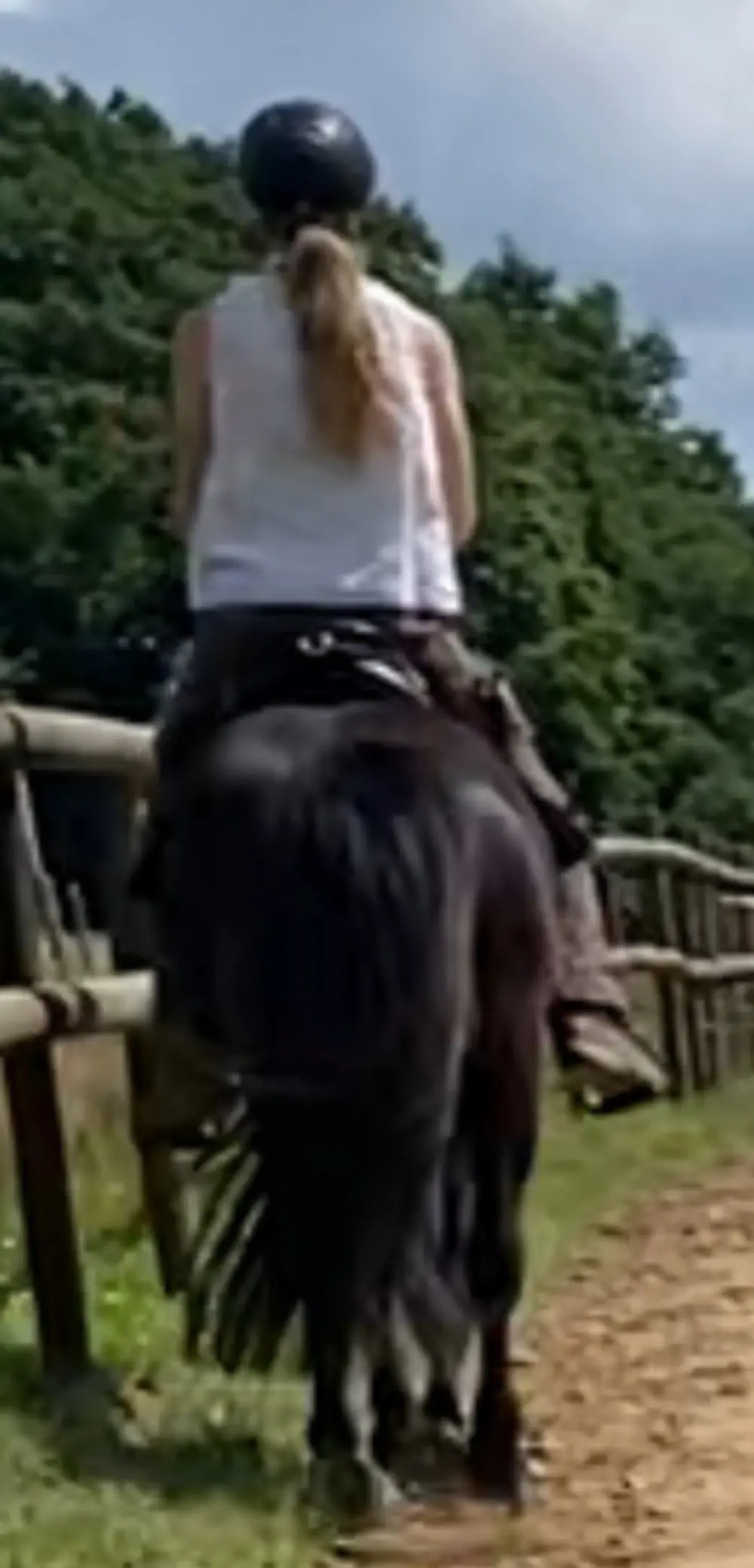 Reiterin auf schwarzem Isländer im Trab oder Tölt, das Pferd läuft mit breiter Hinterhand