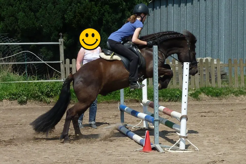Junge Reiterin springt mit ihrem Islandpferd mit einem Islandsattel