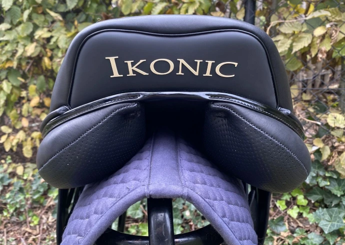 JH02 Springsattel Ikonic von hinten