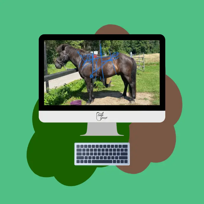 Online Sattelanalyse