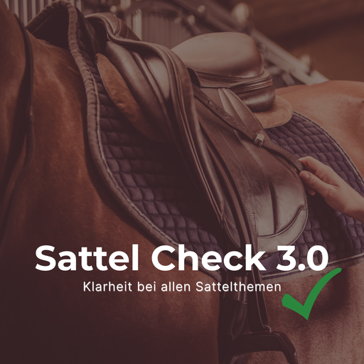 Sattel Check 3.0
