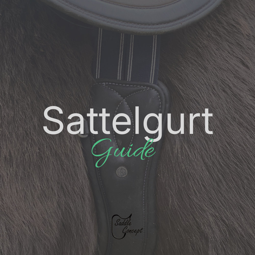 Sattelgurt Guide