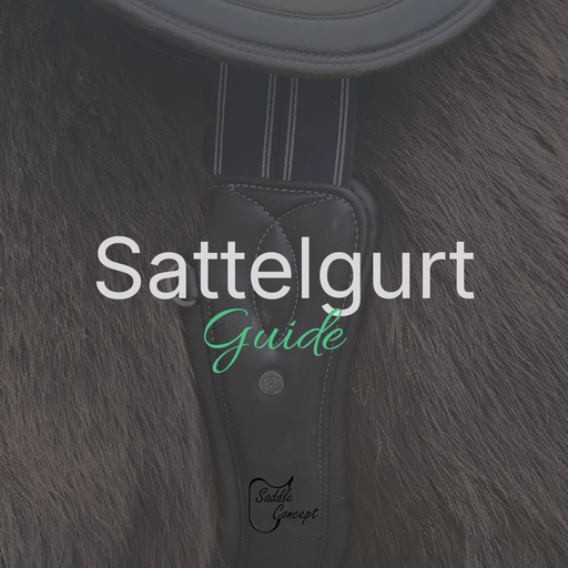 Sattelgurt Guide