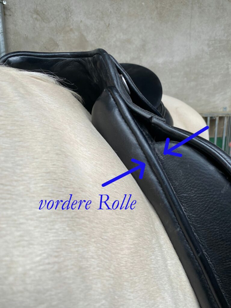 Vordere Rolle