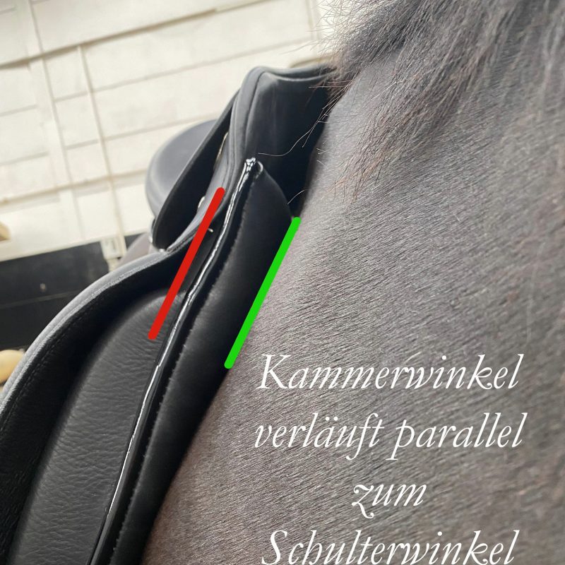 kammerok Kammerwinkel parallel zur Schulter, so sollte es sein